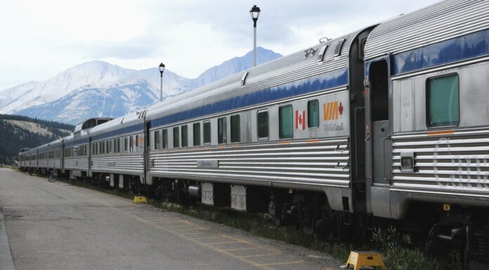 I Got Bats grey and blue train on train station during daytime