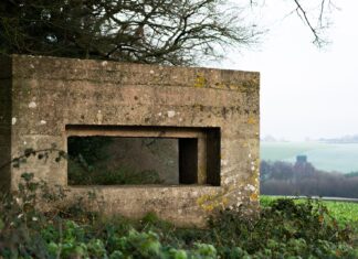 Imaginary telephone brown brick wall on green grass field during daytime