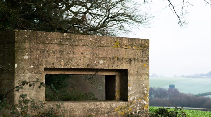 Imaginary telephone brown brick wall on green grass field during daytime