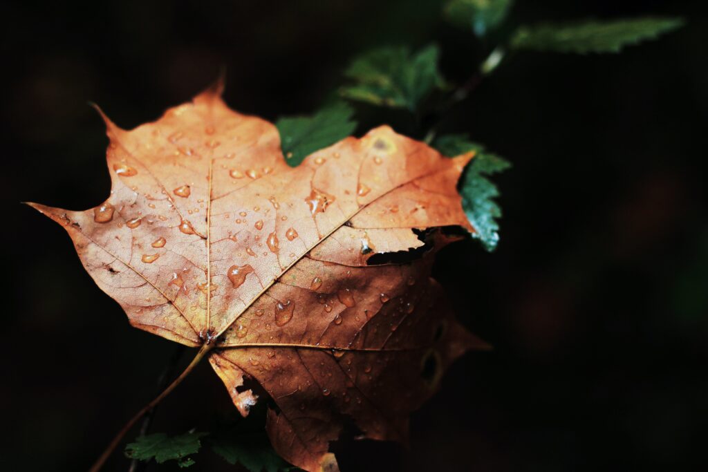September’s End