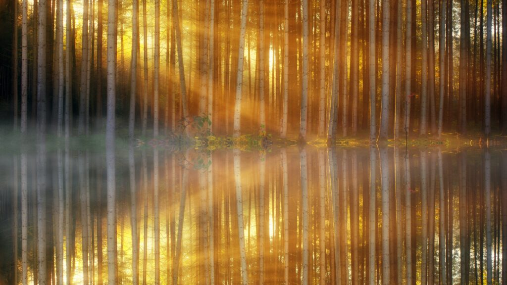 Watercolour Lake
