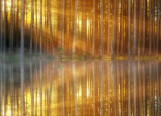 Watercolour Lake