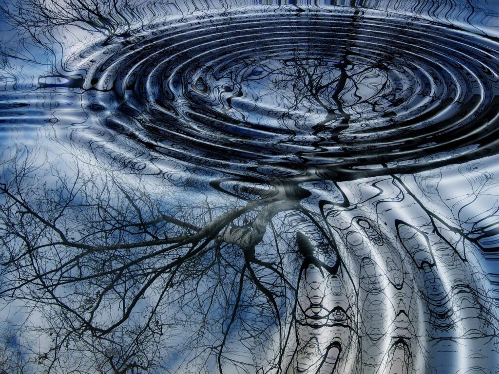 The Tree Ring Record
