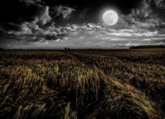The Moon On The Moor