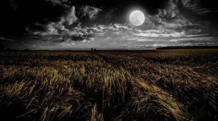 The Moon On The Moor