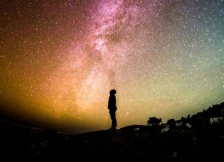 Cheeseburgers and Tattoos