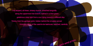 ••••t i m m y