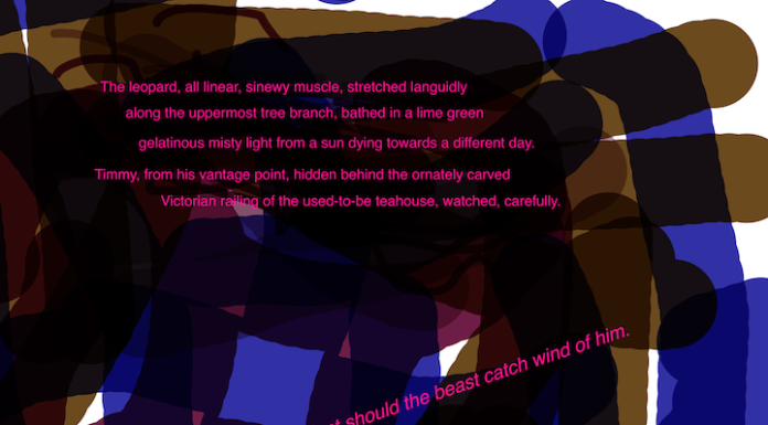 ••••t i m m y