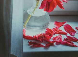 On A Wednesday Morning