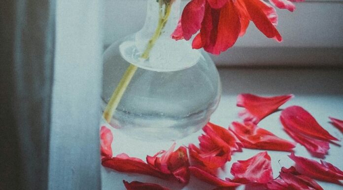 On A Wednesday Morning