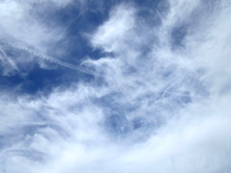 Look Up