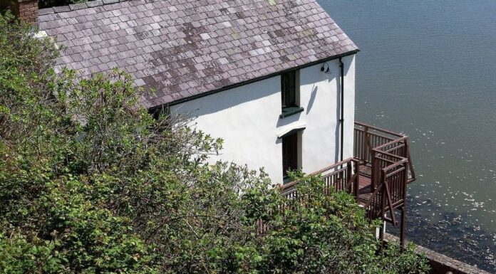 Tribute from a Wooden Hut