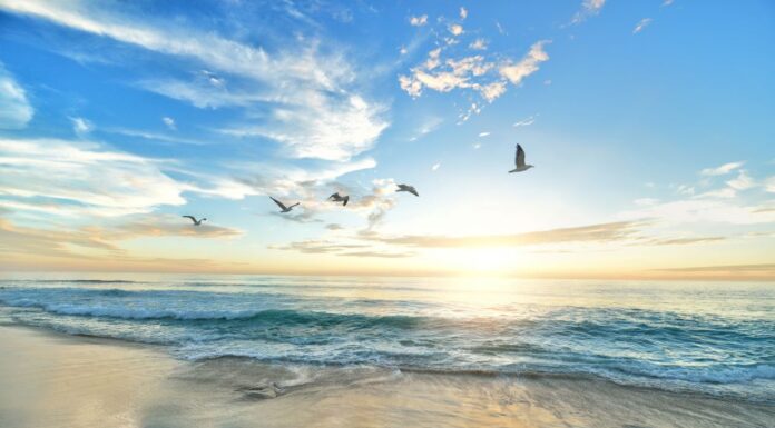 sitting in the backyard eating a green apple