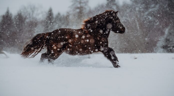 Because time is an artist