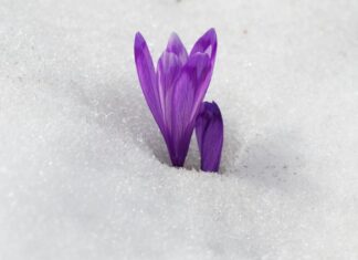 There is a Bewilderment