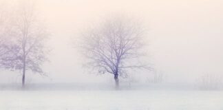 Last Word Dressed in a Gray Suit