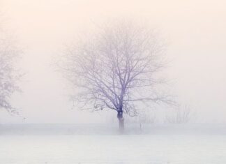 Last Word Dressed in a Gray Suit