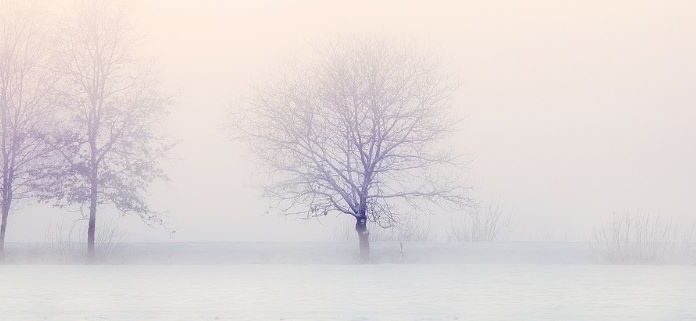 Last Word Dressed in a Gray Suit