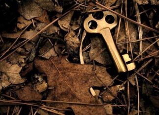 The Silence Of Forgotten Things