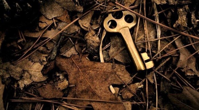 The Silence Of Forgotten Things