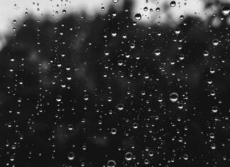 Endless Rain and Wine