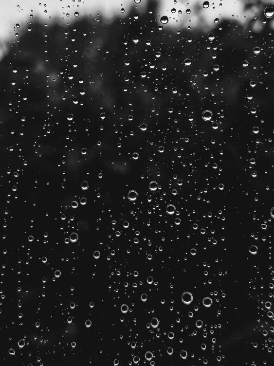 Endless Rain and Wine