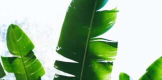 Now that you’ve gone