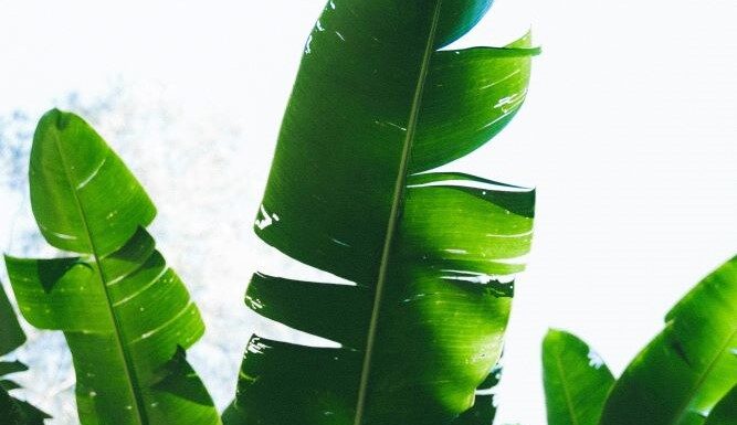 Now that you’ve gone