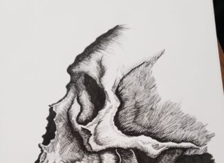 Side profile skull
