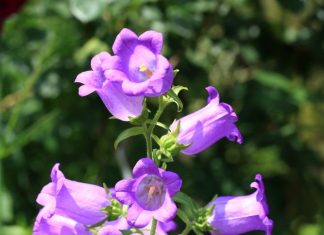 Last Night By The Rain