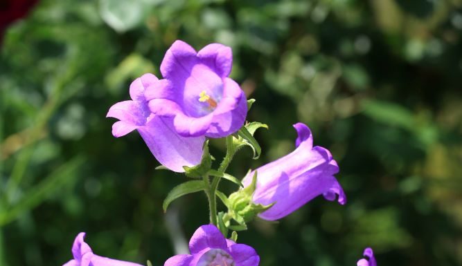 Last Night By The Rain