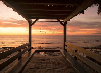 I Shall Live by the Ocean