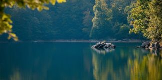 On a Dance, or a Whim