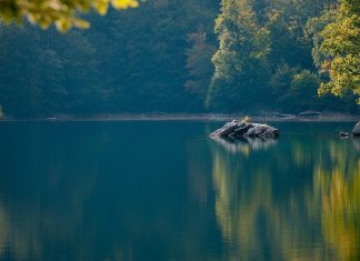 On a Dance, or a Whim