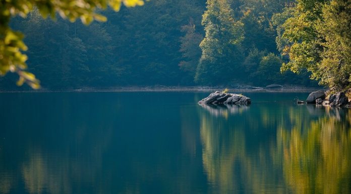 On a Dance, or a Whim