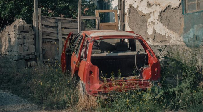 Twelve Bones of Architecture