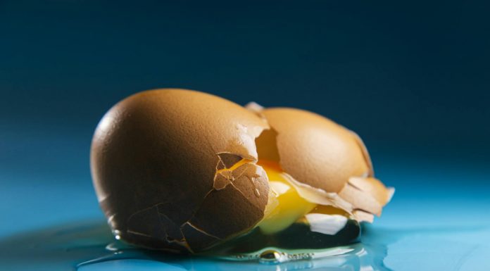The Price of Eggs A detailed image showcasing a cracked egg with yolk spilling out on a blue surface.