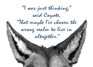 Coyote questions