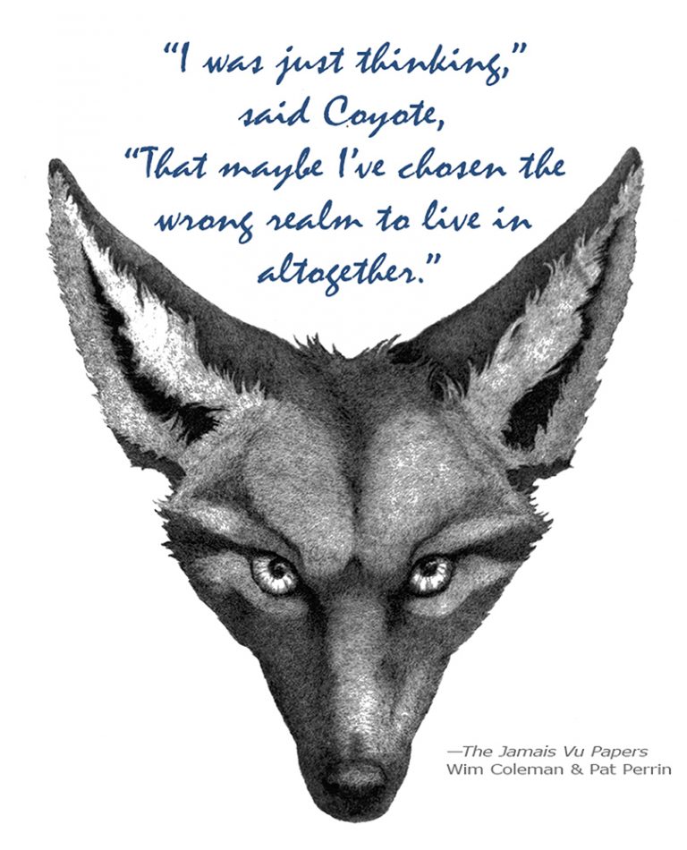 Coyote questions