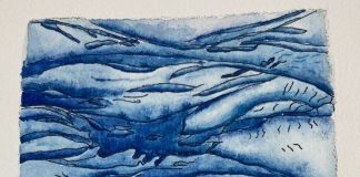 Wow! Look at that Undulatas Asperitas!