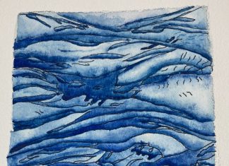 Wow! Look at that Undulatas Asperitas!