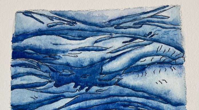 Wow! Look at that Undulatas Asperitas!