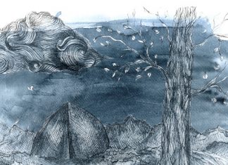 Trinity Park (with audio)