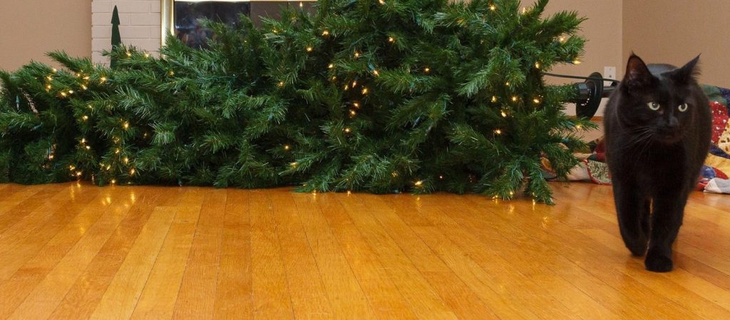 IT’S CHRISTMAS AND I’M THE ONLY ONE WHO HAS THE BALLS TO HANG FROM THE TREE