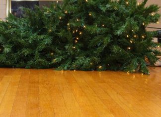 IT’S CHRISTMAS AND I’M THE ONLY ONE WHO HAS THE BALLS TO HANG FROM THE TREE