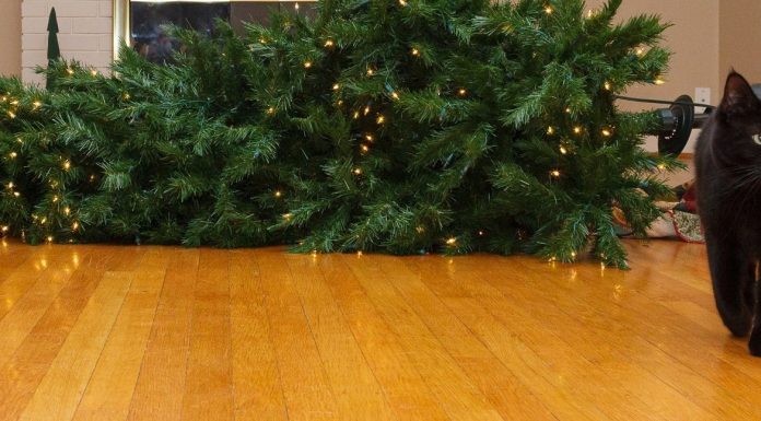 IT’S CHRISTMAS AND I’M THE ONLY ONE WHO HAS THE BALLS TO HANG FROM THE TREE