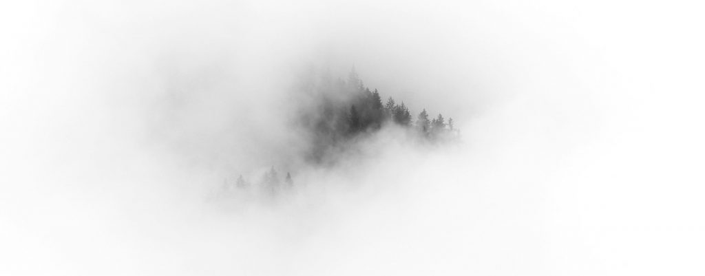 Gray is the Only Color Containing All Colors (and it’s also very much a Philosophy)