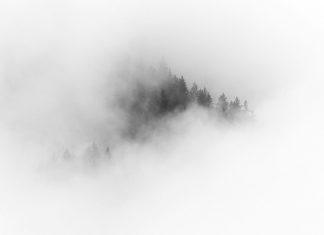 Gray is the Only Color Containing All Colors (and it’s also very much a Philosophy) a cloud of smoke