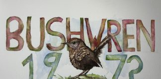 Extinct Birds – Series of 3