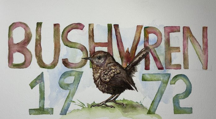 Extinct Birds – Series of 3